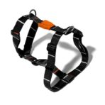 Zee.Dog Patagonia H Harness - Imagen 2