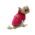 Chaqueta Cotele Doggy Dolly - Imagen 4
