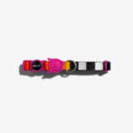 Prisma Collar Zee.Cat 2