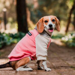 Hoodie Candy Chic Pet Lounge - Imagen 6