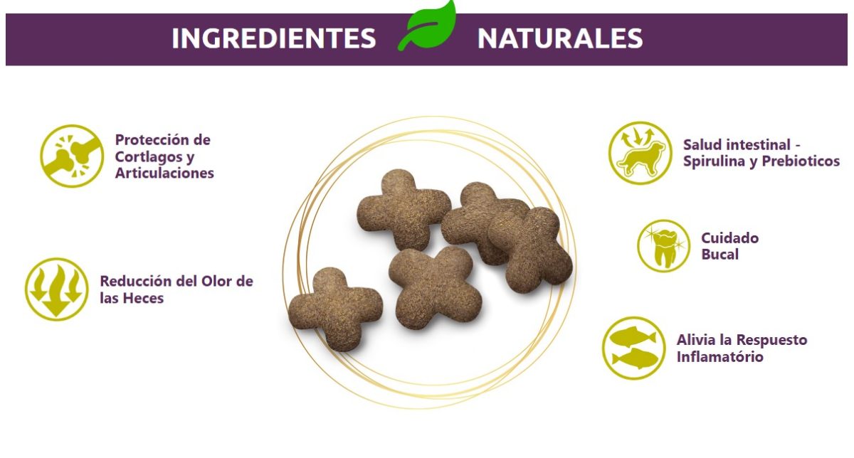 Ingredientes